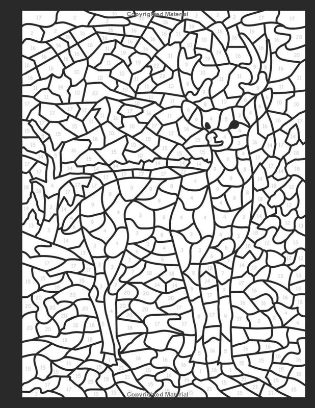 ANIMAL MOSAIC Color By Number (Black Backgrounds)